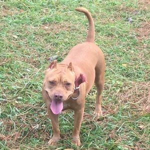 Meet your Posher, Joshua